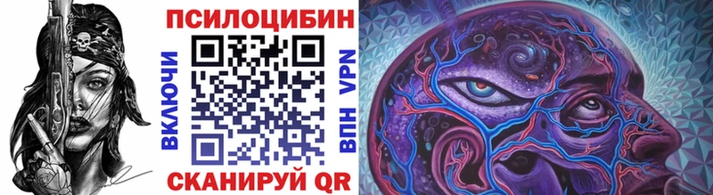 закладка  Таруса  Псилоцибиновые грибы мицелий 